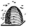 Masonic Beehive Symbol 