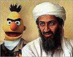 Sesame Street, Bert, Osama bin Laden, War on Terror